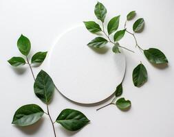 White Circular Paper with Green Leaves on a White Background for Natural Design photo