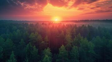 Stunning Sunset Over Lush Green Forest With Vibrant Sky photo
