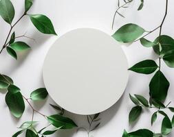Round White Paper Surrounded by Green Leaves on White Background photo