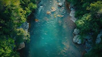 Aerial View of a Spinning Trout in a Pristine Mountain River Surrounded by Lush Greenery photo