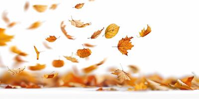 Autumn Leaves Falling Against White Background, Capturing the Essence of Fall photo