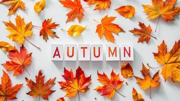 Autumn Greeting Card with Colorful Fall Leaves and Autumn Text photo