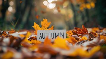Autumn Leaves with 'Autumn' Greeting Card in Forest Setting photo