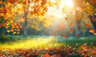 Autumn Leaves Falling with Sunrise Casting Golden Light in a Serene Forest photo