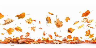 Autumn Leaves Falling Over White Background, Spread Colorful Foliage photo