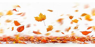 Autumn Leaves Falling Against White Background, Symbolizing Change and Seasonal Beauty photo