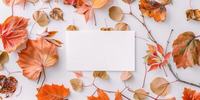 Autumn Mockup with Blank Postcard, Colorful Fall Leaves, and Branches on White Background photo