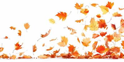 Autumn Leaves Falling on a White Background Capturing the Essence of Fall photo