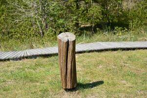 a wooden post in the grass near a wooden path photo