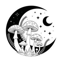 Mushrooms under Crescent Moon with Stars in Night Scene vector