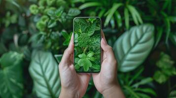 Female hands holding smartphone on green palm leaves background, top view, copy space photo