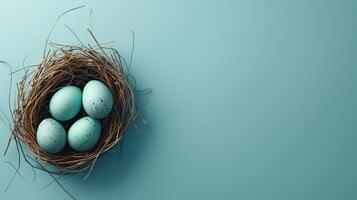 Easter holiday banner greeting card with pastel painted eggs in bird nest on bright blue backround photo
