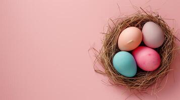 Easter holiday banner greeting card with pastel painted eggs in bird nest on paper pink backround photo