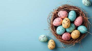 Easter holiday banner greeting card with pastel painted eggs in bird nest on bright blue backround photo