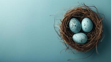 Easter holiday banner greeting card with pastel painted eggs in bird nest on bright blue backround photo