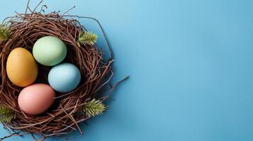 Easter holiday banner greeting card with pastel painted eggs in bird nest on bright blue backround photo