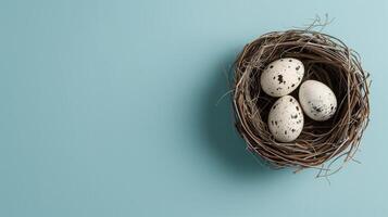 Easter holiday banner greeting card with pastel painted eggs in bird nest on bright blue backround photo