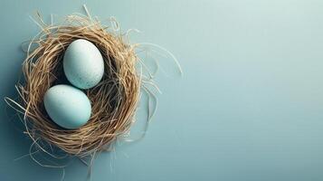 Easter holiday banner greeting card with pastel painted eggs in bird nest on bright blue backround photo