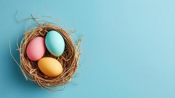 Easter holiday banner greeting card with pastel painted eggs in bird nest on bright blue backround photo