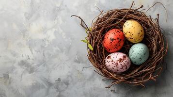Easter holiday banner greeting card with pastel painted eggs in bird nest on white stone backround photo