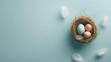Easter holiday banner greeting card with pastel painted eggs in bird nest on bright blue backround photo