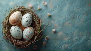 Easter holiday banner greeting card with pastel painted eggs in bird nest on stone blue backround photo