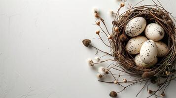Easter holiday banner greeting card with pastel painted eggs in bird nest on white stone backround photo