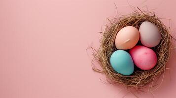 Easter holiday banner greeting card with pastel painted eggs in bird nest on paper pink backround photo