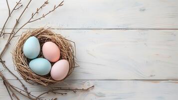 Easter holiday banner greeting card with pastel painted eggs in bird nest on white wooden backround photo