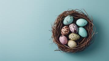 Easter holiday banner greeting card with pastel painted eggs in bird nest on bright blue backround photo