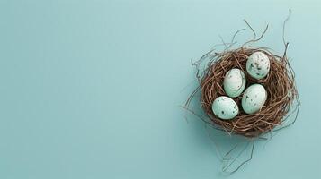 Easter holiday banner greeting card with pastel painted eggs in bird nest on bright blue backround photo