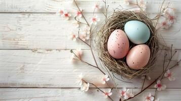 Easter holiday banner greeting card with pastel painted eggs in bird nest on white wooden backround photo