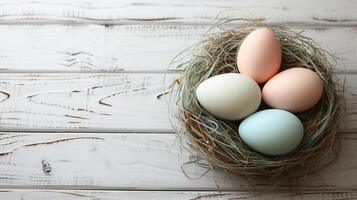 Easter holiday banner greeting card with pastel painted eggs in bird nest on white wooden backround photo