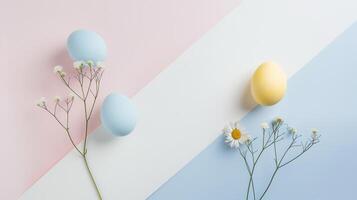 Easter pastel eggs with spring flowers on pastel three colors paper background, copy space, top view photo