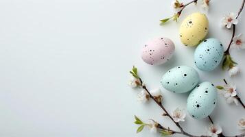 Easter pastel colored eggs with spring flowers on white background, copy space, top view photo