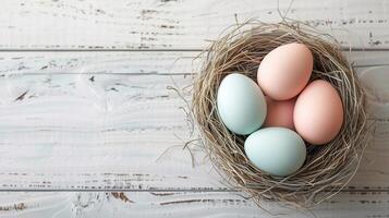 Easter holiday banner greeting card with pastel painted eggs in bird nest on white wooden backround photo
