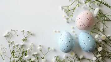 Easter pastel colored eggs with spring flowers on white background, copy space, top view photo