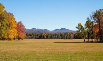 Tranquil fall landscape, open field, colorful trees photo