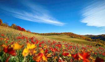 Scenic fall scenery, open field, colorful trees, distant mountains photo