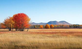 Scenic fall scenery, open field, colorful trees, distant mountains photo