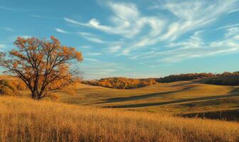 Scenic fall scenery, open field, colorful trees, distant mountains photo