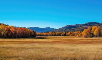 Fall scenery, open field, colorful trees, distant mountains photo
