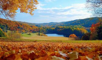 Scenic fall scenery, open field, colorful trees, distant mountains photo