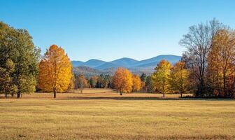 Tranquil autumn view, open field, colorful trees, distant mountains photo