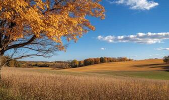 Scenic fall scenery, open field, colorful trees, distant mountains photo