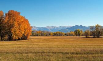 Tranquil fall landscape, open field, colorful trees photo