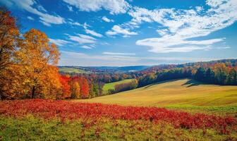Scenic fall scenery, open field, colorful trees, distant mountains photo