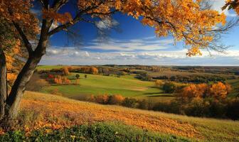 Scenic fall scenery, open field, colorful trees, distant mountains photo