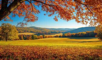 Tranquil fall landscape, open field, colorful trees photo