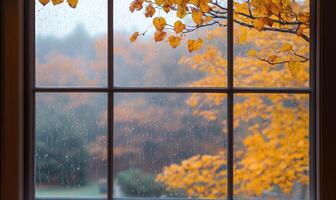 Warm interior, large window, view of misty autumn landscape photo